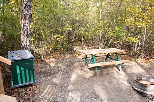 Extérieur du camping oTENTik montrant un casier de rangement à l'épreuve des animaux sauvages et une table de pique-nique.